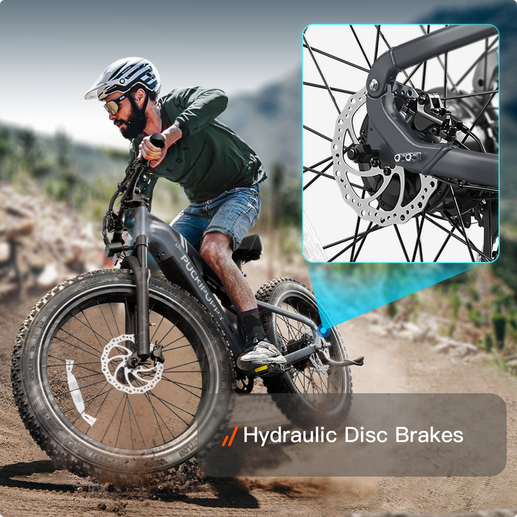 Labrador Ebike