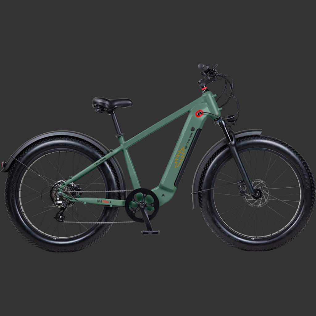 Grateful Dead Koa Rev+ 2 Fat Tire Electric Bike