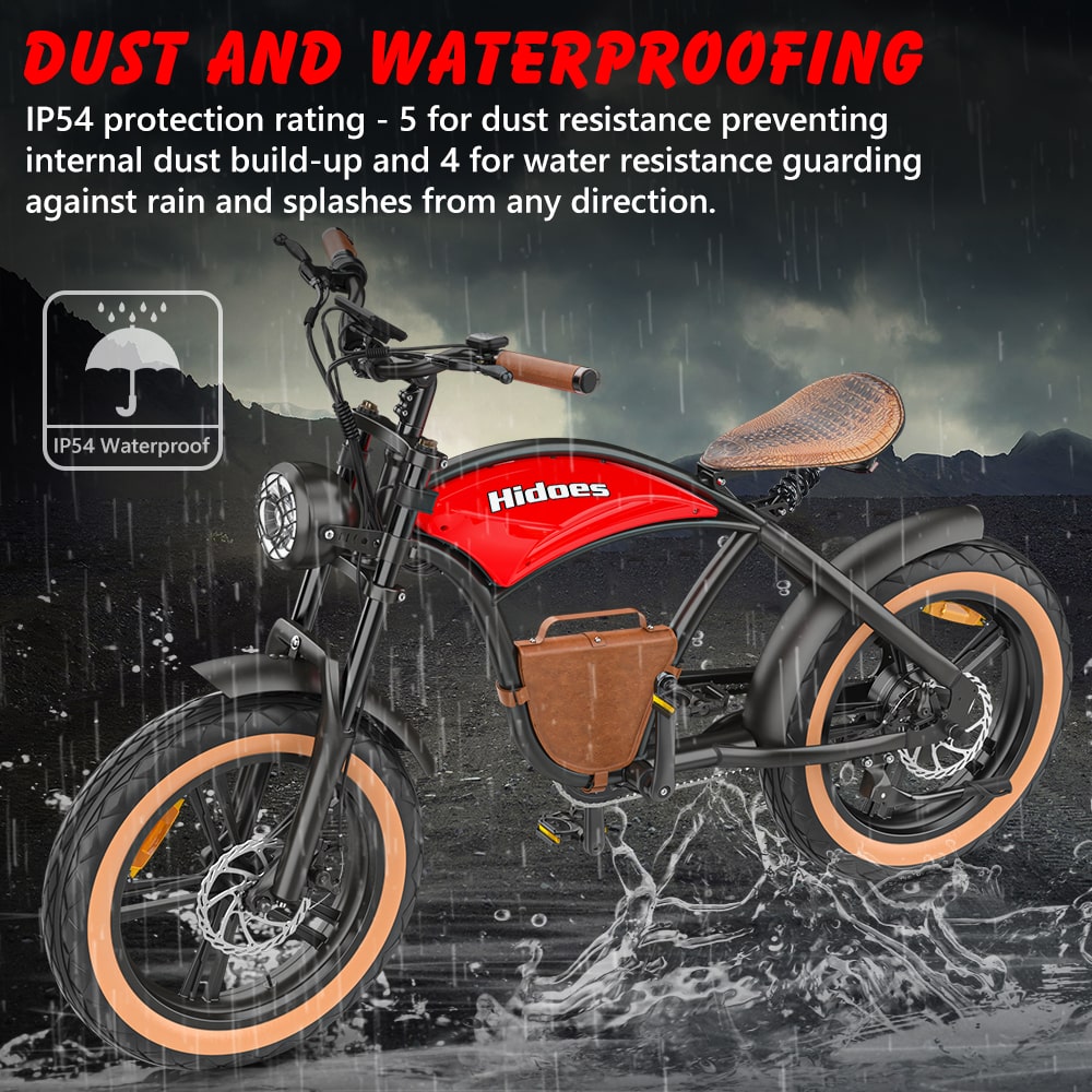 Hidoes B10 Full Suspension Electric Bike