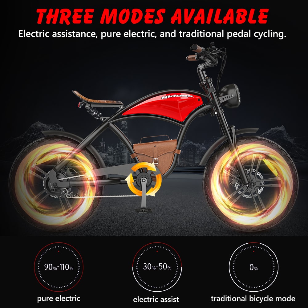 Hidoes B10 Full Suspension Electric Bike
