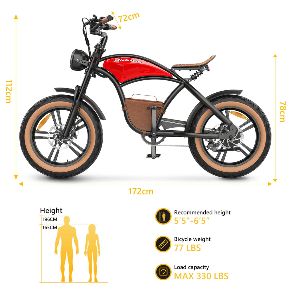 Hidoes B10 Full Suspension Electric Bike