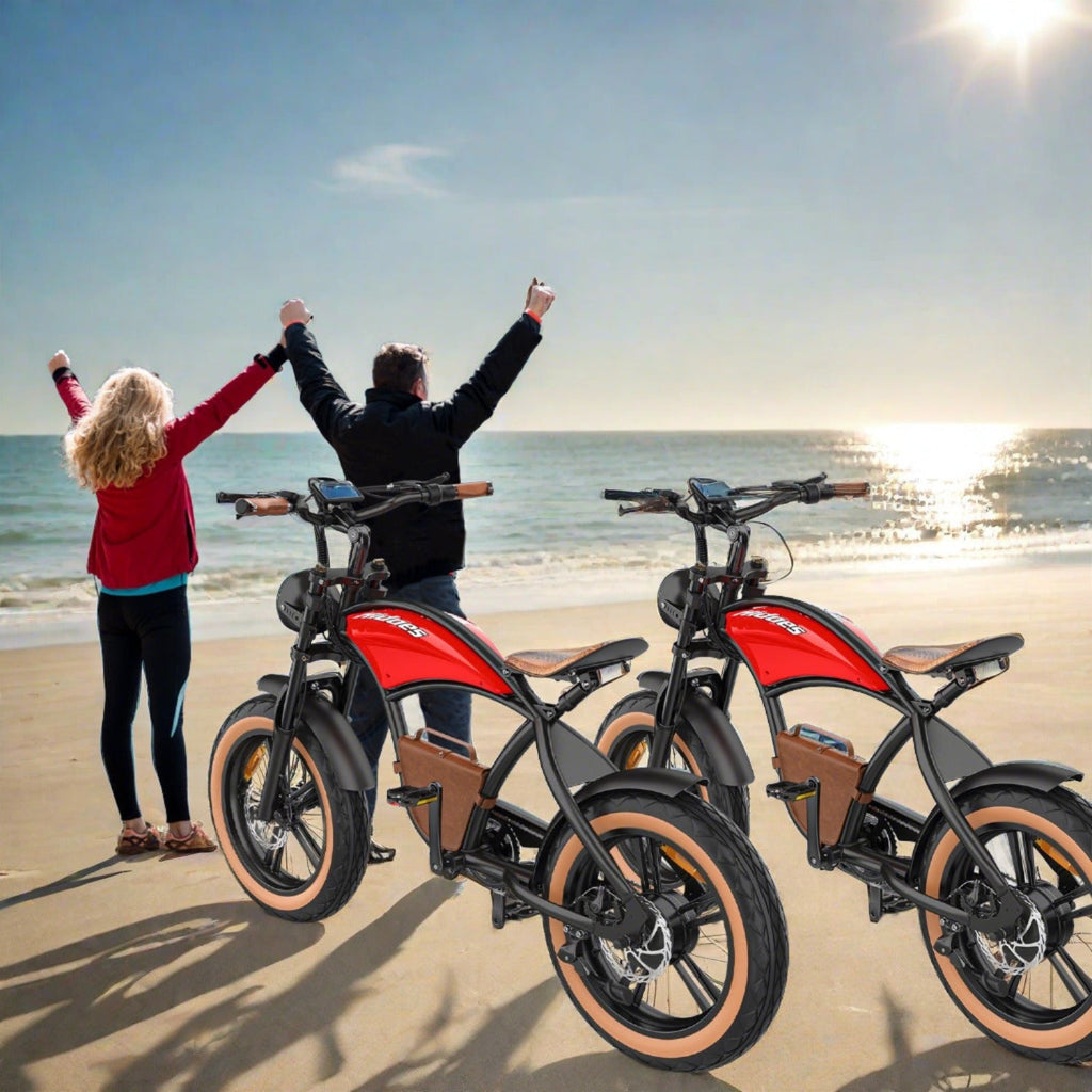 Hidoes B10 Full Suspension Electric Bike