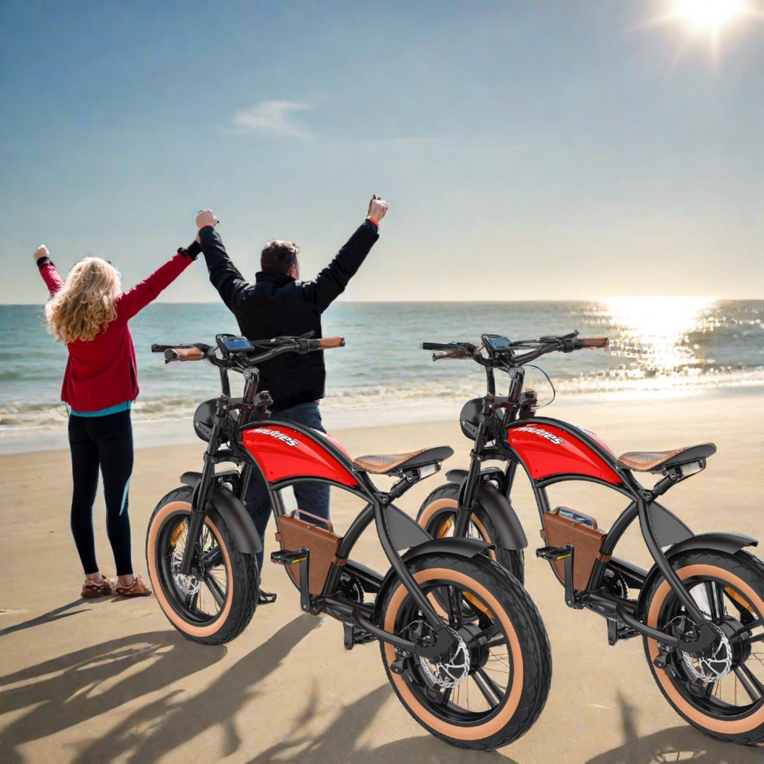 Hidoes B10 Full Suspension Electric Bike