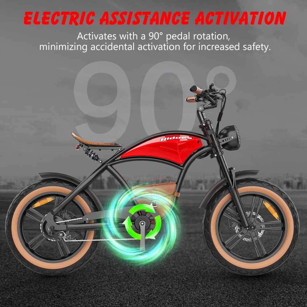 Hidoes B10 Full Suspension Electric Bike
