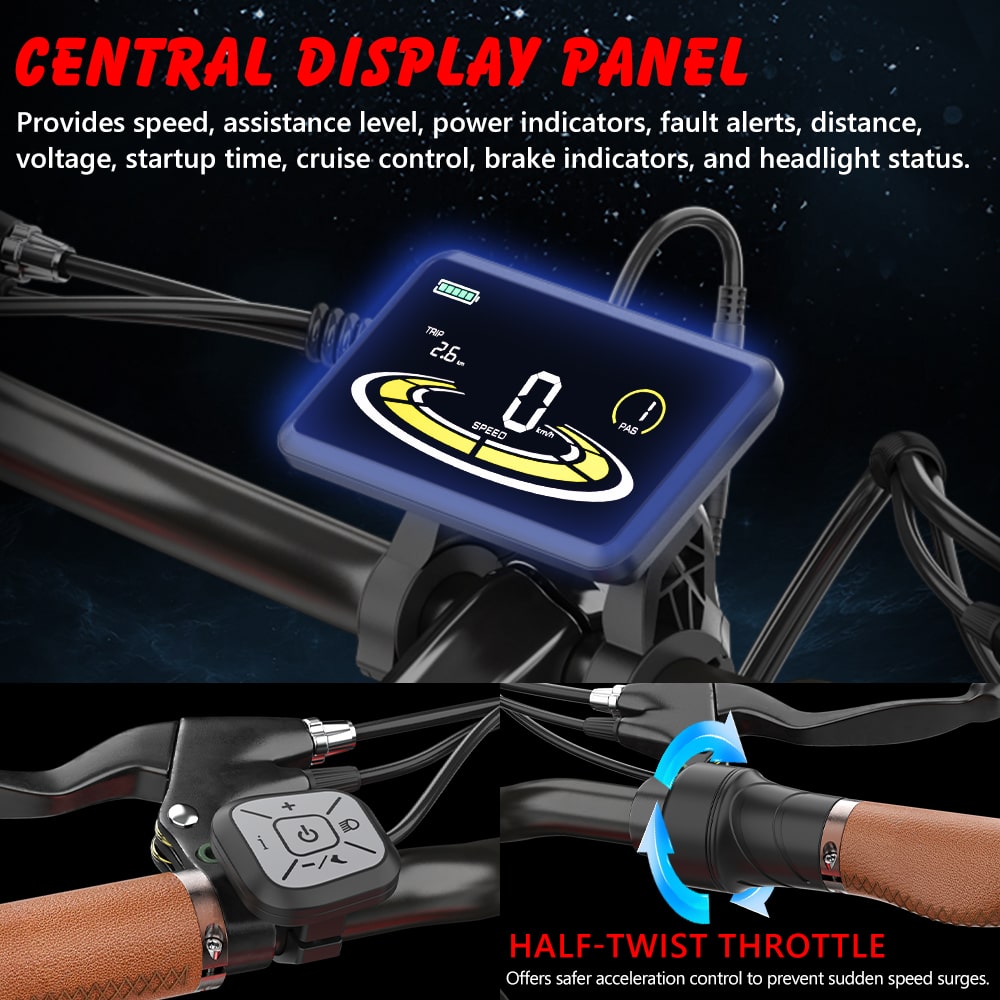 Hidoes B10 Full Suspension Electric Bike