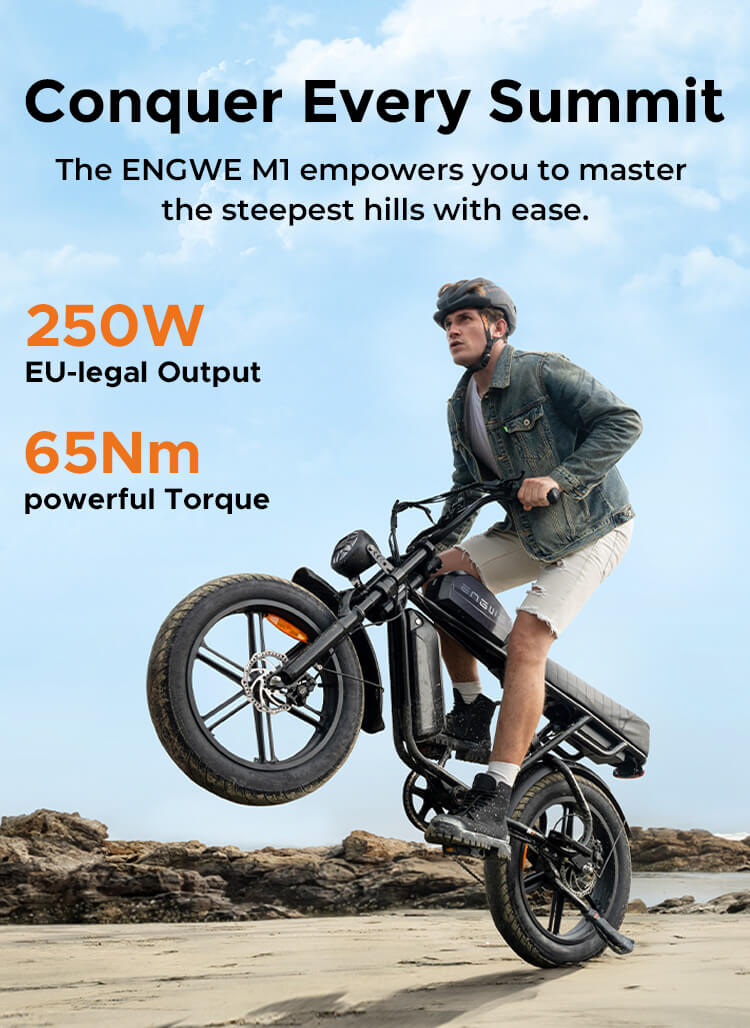 ENGWE M1 65Nm Torque Dual Passenger Motorcycle-styled E-bike