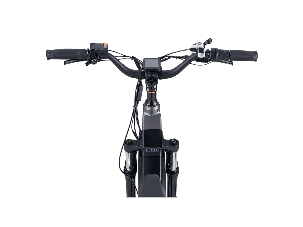 RadRover™ 6 Plus Electric Fat Tire Bike
