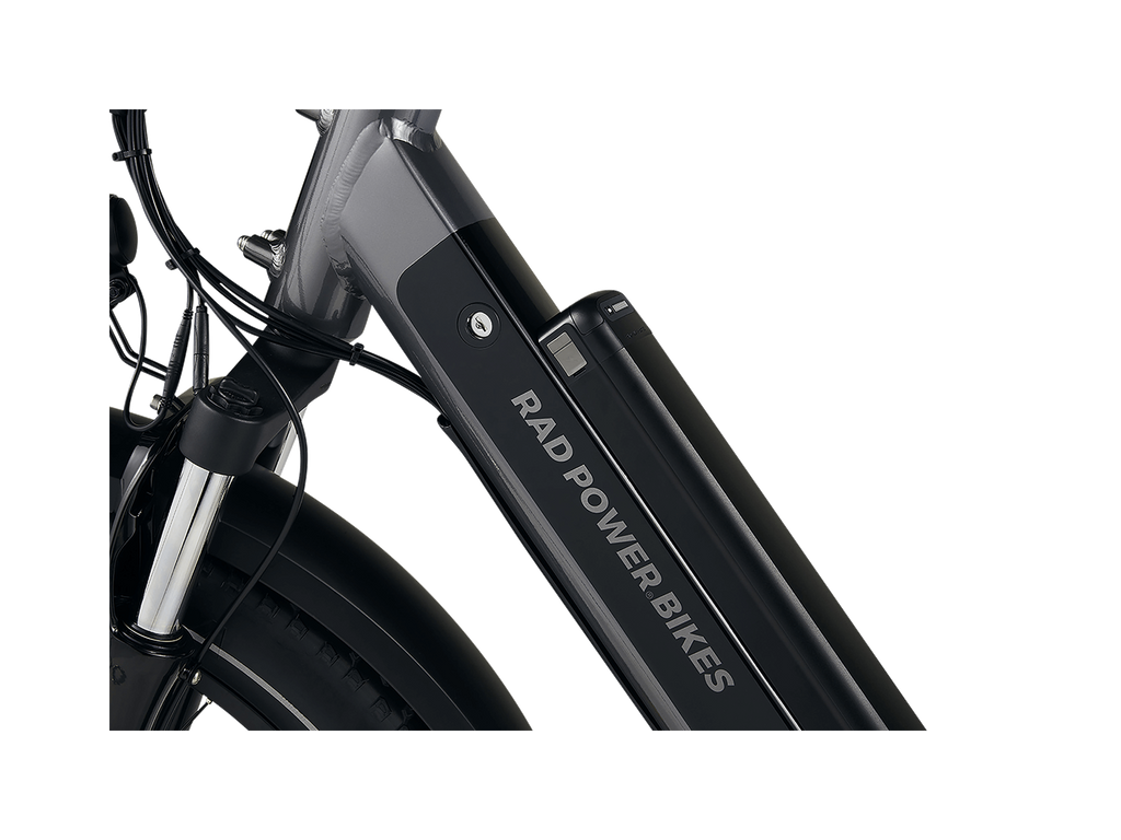 RadRover™ 6 Plus Electric Fat Tire Bike