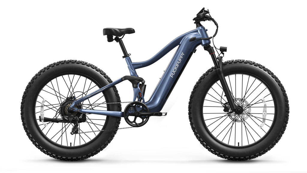Boxer Ebike